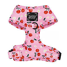 Sassy Woof Mon Ch��rry Dog Harness