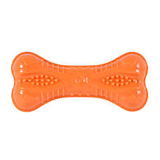Joyhound Squeaking TPR Bone Dog Toy