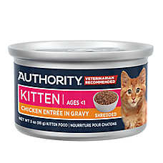 Authority Everyday Health Kitten Wet Cat Food - Shredded, 3oz