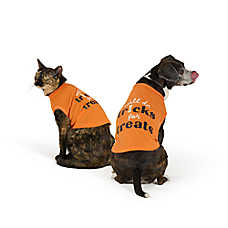 Thrills & Chills? Tricks for Treats Dog & Cat Tee