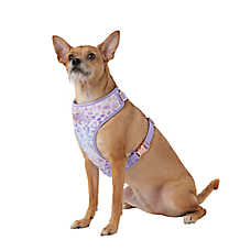 Top Paw? Purple Cheetah Dog Harness, Adjustable, Comfort, Neoprene, Mesh, Multiple Sizes
