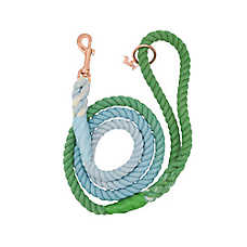 Sassy Woof Minty Dog Rope Leash: 5-ft long