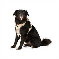 Arcadia Trail? Magnetic Harness