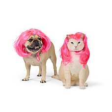 Thrills & Chills? Popstar Dog & Cat Wig Headpiece