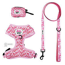 Sassy Woof Barbie Malibu Dog Harness, Leash and Waste Bag Holder Bundle