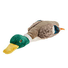 Joyhound? Realistic Duck Plush Squeaky Dog Toy