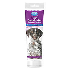 PetAg Dog High Calorie Gel Supplement, Boosts Calorie Intake, Chicken Flavor, 5 oz