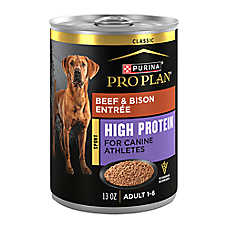 Purina Pro Plan Sport High Protein Adult Wet Dog Food - Beef & Bison, 13 oz