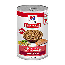 Hill's Science Diet Adult Dog Wet Food - Salmon & Barley Entree, 13 oz