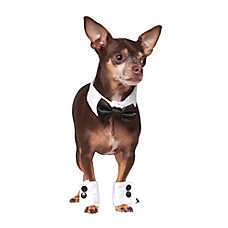 Rubie's Pet Shop Celebrations Tuxedo Dog & Cat Costume