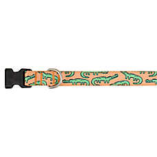 Top Paw? Alligator Dog Collar, Orange Dog Collar, Adjustable, Comfortable, Multiple Sizes