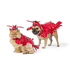 Thrills & Chills? Lobster Dog & Cat Costume