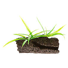 Top Fin? Mopani Wood with Plants Aquarium Ornament - Fish Tank Decor - Small