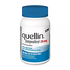 Quellin (Carprofen) Soft Chewables for Dogs - 75 mg - 30 Count or 120 Count