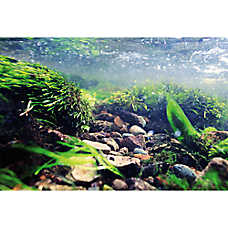 Top Fin? Tropical & Riverbed Reversible Aquarium Background - Large - 24x48 in