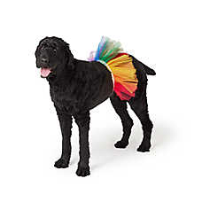 Life of the Party? Rainbow Dog Tutu