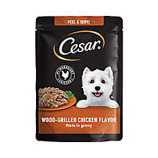 CESAR Filets in Gravy Wet Dog Food Wood-Grilled Chicken Flavor, 1.76 oz. Mini-Pouch