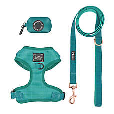 Sassy Woof Napa Dog Harness, Leash and Waste Bag Holder Bundle