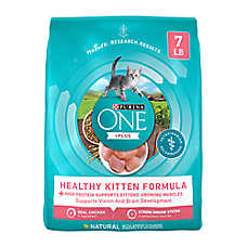 Purina ONE +Plus Healthy Kitten Dry Cat Food - Natural, Salmon