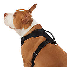 Top Paw? Adjustable Neoprene Comfort Dog Harness, Multiple Colors & Sizes