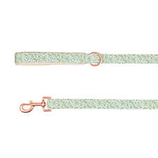 Top Paw? Green Leaves Dog Leash, Green & White Dog Leash, Walking Dog Leash, 4' Long