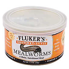 Fluker's? Gourmet Style Mealworms - Reptile Food Treat - 1.2 oz