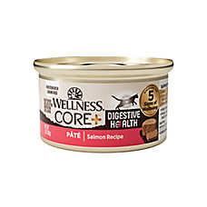 Wellness? CORE? Adult Cat Food Digestive Health, Grain Free, Salmon