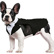 Kuoser Dog Tuxedo Suit & Bandana Set, Formal Dog Clothing for Weddings, Parties & Special Events