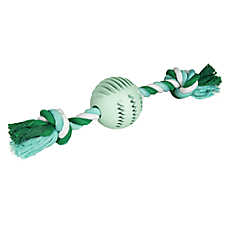 Chew King Teether Ball Dental Dog Toy