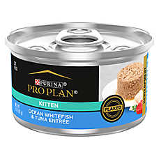 Purina Pro Plan Kitten Wet Cat Food - High-Protein, Flaked, 3 Oz