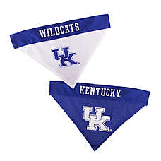 Kentucky Wildcats NCAA Reverisble Pet Bandana