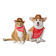 Thrills & Chills? Cowboy Hat & Bandana Dog & Cat Set