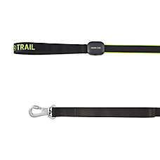 Arcadia Trail? Light-Up LED Dog Leash, Walking Dog Leash, Hiking Dog Leash, Rechargable Light,  5'