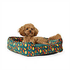 Thrills & Chills? Halloween Leaves Cuddler Dog Bed, ONESIZE 18 IN L X 20 IN W