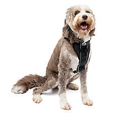 Kurgo? Tru-Fit Dog Harness