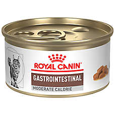 Royal Canin? Gastrointestinal Moderate Calorie Adult Cat Thin Slices in Gravy Wet Food ? 3 oz can