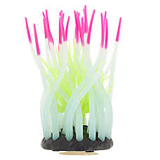Top Fin? Glow-in-the-Dark Anemone Aquarium Ornament - Fish Tank Decor
