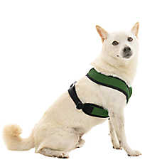 Gooby Comfort X Dual Snap Mesh Dog Harness