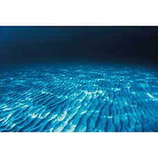 Top Fin? Rippled Sand & Ocean Floor Reversible Aquarium Background - Fish Tank Background - 24x48 in