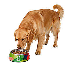 FIFA World Cup 2026 Pet Bowl - FIFA Color Pop, S-L