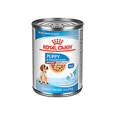 Royal Canin Medium Breed Puppy Dog Wet Food - 13 Oz.