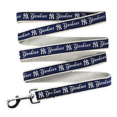 New York Yankees MLB Leash