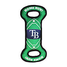 Pets First Tampa Bay Rays Nylon Field Toy