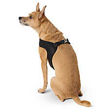 Top Paw? Comfort Slip-On Dog Harness, Comfortable Dog Harness, Adjustable, Neoprene, Multiple Sizes