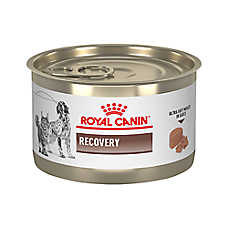 Royal Canin? Veterinary Diet Recovery Adult Cat & Dog Ultra Soft Mousse Wet Food ? 5.1 oz can