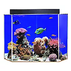 Clear-For-Life 50 Gallon Pentagon Aquarium Acrylic Fish Tank