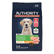 Authority Everyday Health Large Breed Puppy Dry Dog Food - Chicken