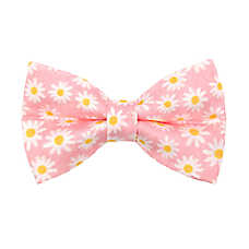 Made By Cleo? Daisies Pink Cat Bow Tie