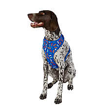 Top Paw? Blue Bones Adjustable Comfort Dog Harness