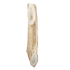Dentley's? Nature's Chews Split Elk Antler Dog Chew